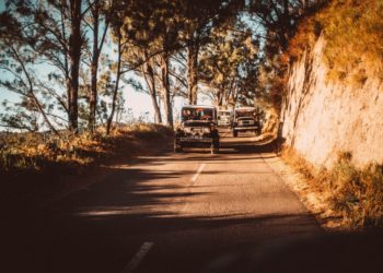 Top 5 cars you must opt for on your next road trip