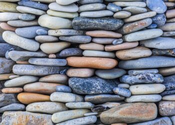 How Repeat Clients Actually Refer: The Quiet Mechanics of Trust-Based Growth