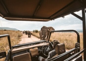 Ultra-luxury safari lodge Africa elephants — Hype Luxury